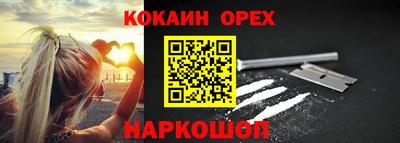 гашик Будённовск