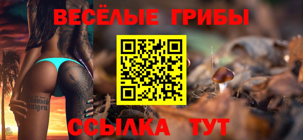 Тихорецк  закладка  Псилоцибиновые грибы Cubensis  Вход с VPN  Галлюциногенные грибы Magic Shrooms 