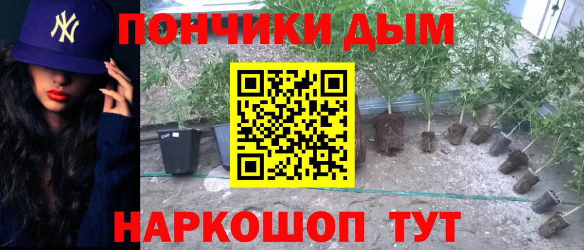Бошки Шишки LSD WEED  Вход с VPN  Бошки Шишки SATIVA & INDICA  Тихорецк 
